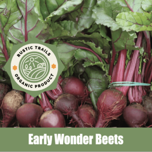 Early Wonder Beets